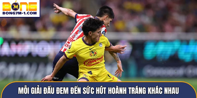 Mỗi giải đấu đem đến sức hút hoành tráng khác nhau