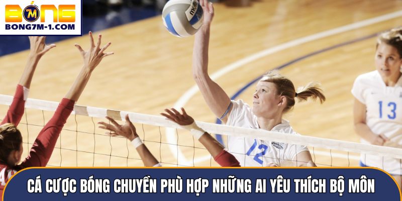 Cá cược bóng chuyền phù hợp những ai yêu thích bộ môn