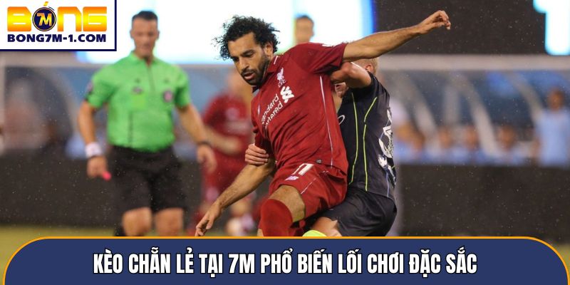 Kèo chẵn lẻ tại 7m phổ biến lối chơi đặc sắc