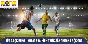 Kèo cược rung