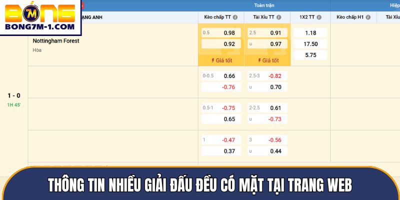 Thông tin nhiều giải đấu đều có mặt tại trang web